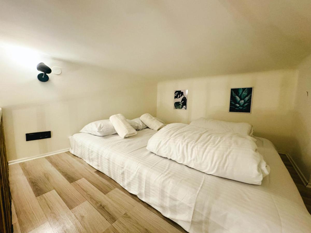 Comfy Studio In City Center Belgrado Esterno foto